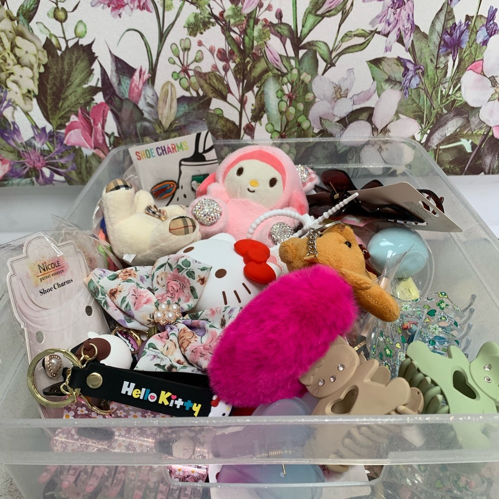 Semi Mystery bag accessories